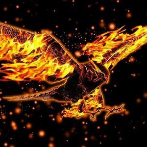 Meet your Posher, Chance